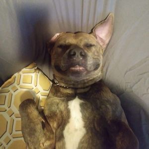 Meet your Posher, Ashlee